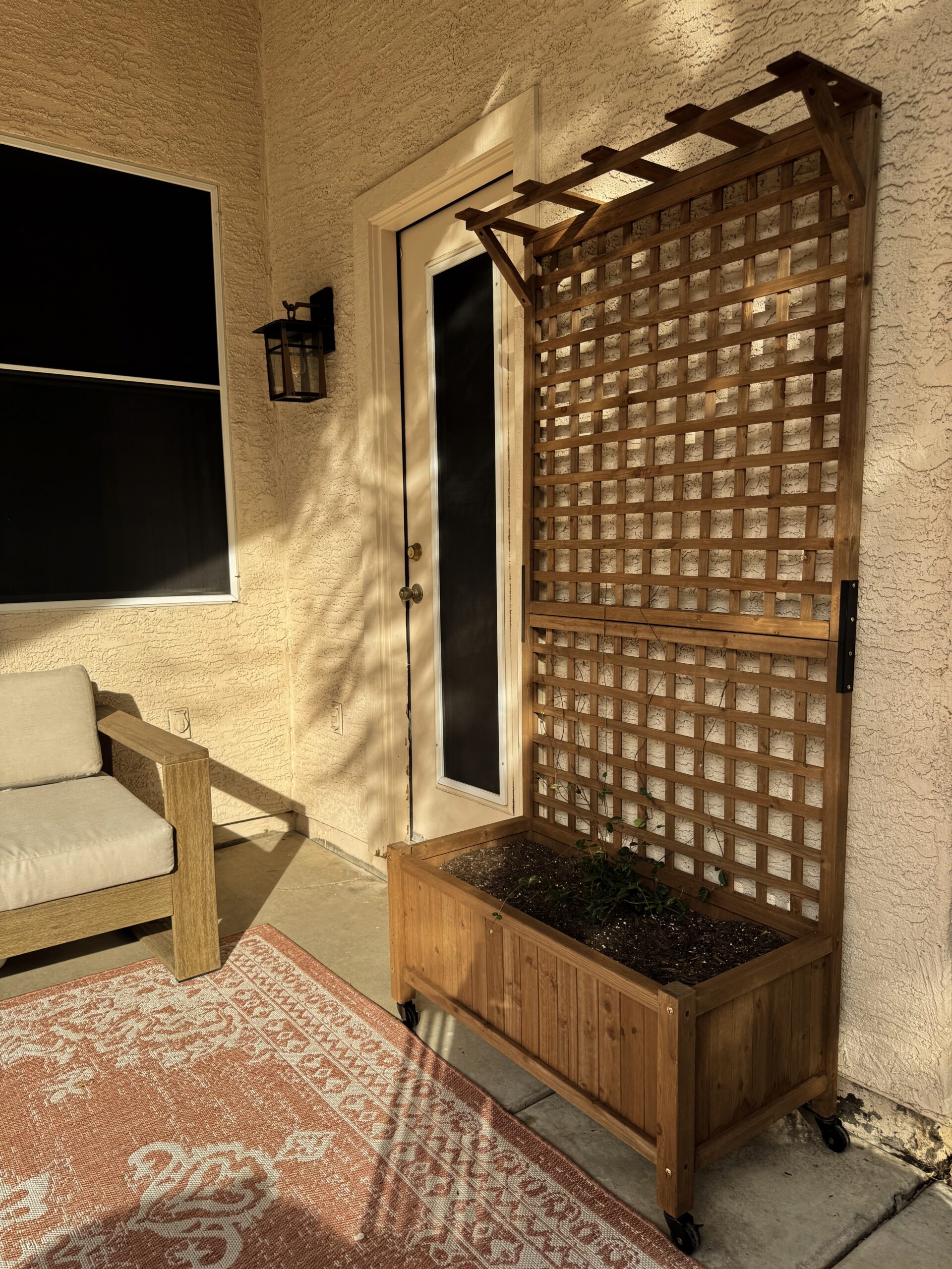trellis planter with a small star jasmine plant starting to climb up the wooden trellis.